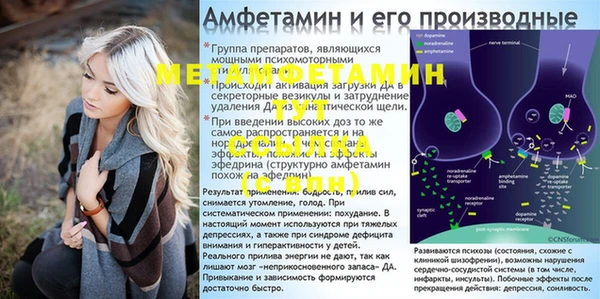 крисы Михайловск