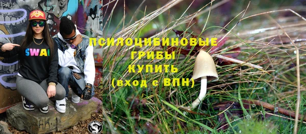крисы Михайловск